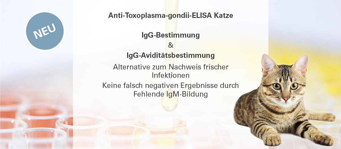 Second slide
